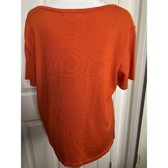 Stunning Grace Dane Lewis Short Sleeve Sweater Women’s Sz XL Silk Blend - Picture 3 of 3